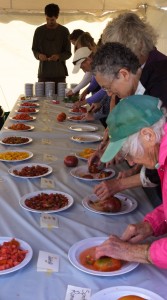 Attendees at the Heirloom Tomato Festival slice up tomatoes of all varieties. Photograph by Chris Barbey.