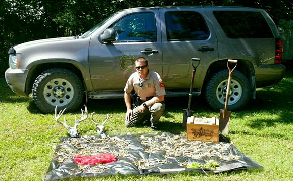 The black market ginseng trade in Iowa: Chasing the root of the problem