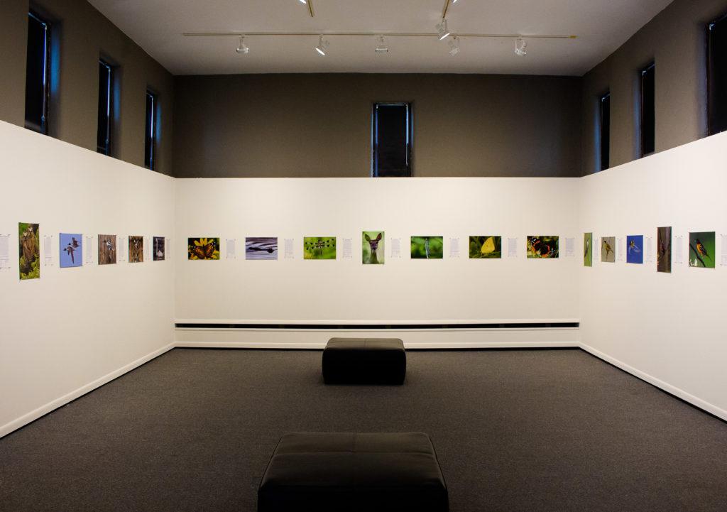 The+Stewart+Gallerys+exhibit%2C+%E2%80%9CPortraits+of+Nature+in+Iowa%E2%80%94Part+II%2C%E2%80%9D+is+on+display+until+Thursday%2C+Feb.+15.+Photo+by+Charun+Upara.+