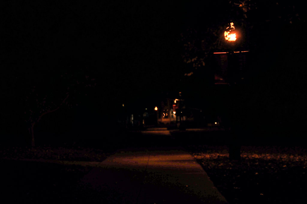 The view of a path through campus that students take from Burling to Park Street, notably lacking in light.
Photo by Liz Paik