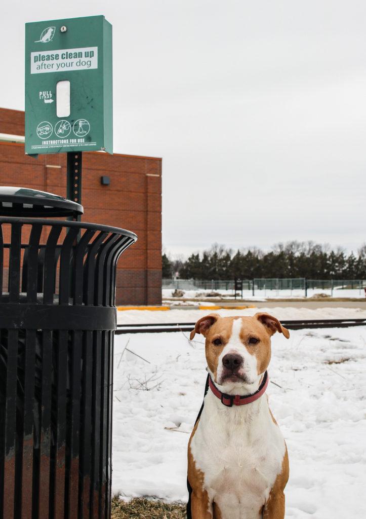 Some sites around Grinnell, like Ahrens Park and Grinnell College, provide
doggy bags for local pet owners. Photo by Andrew Tucker.