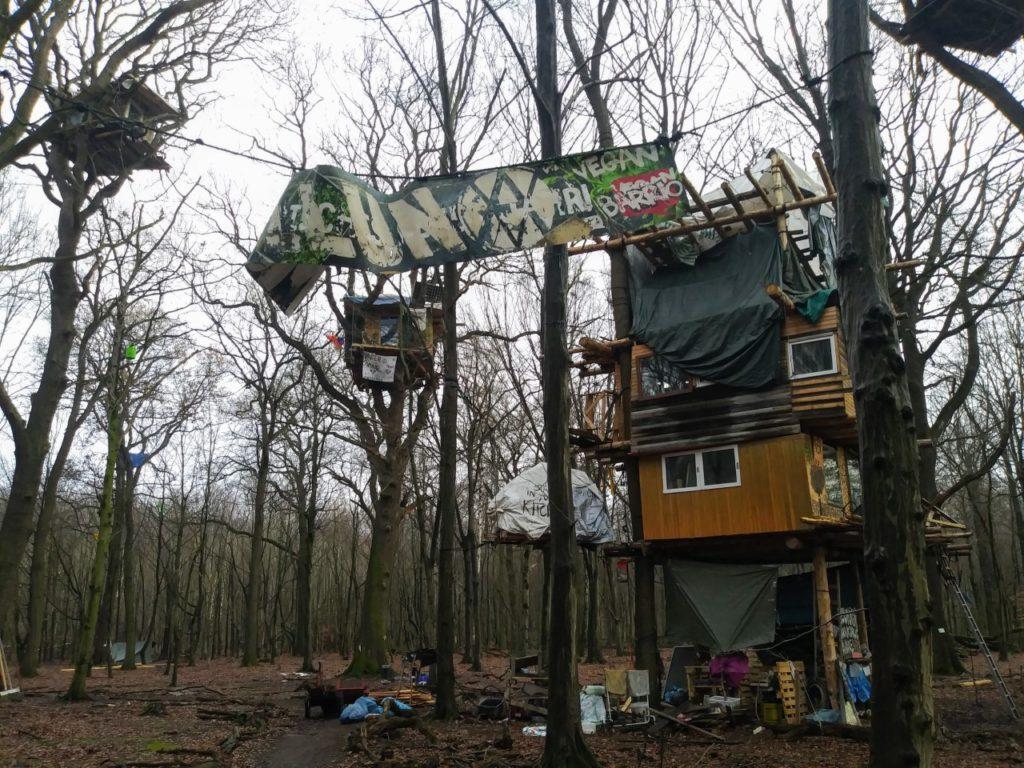 Luna camp, one of the many barrios at the Hambach Forest occupation, Germany. Photo by Caleb Forbes.