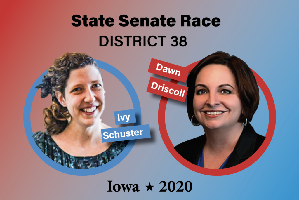 Schuster, Driscoll win primary races for state senate