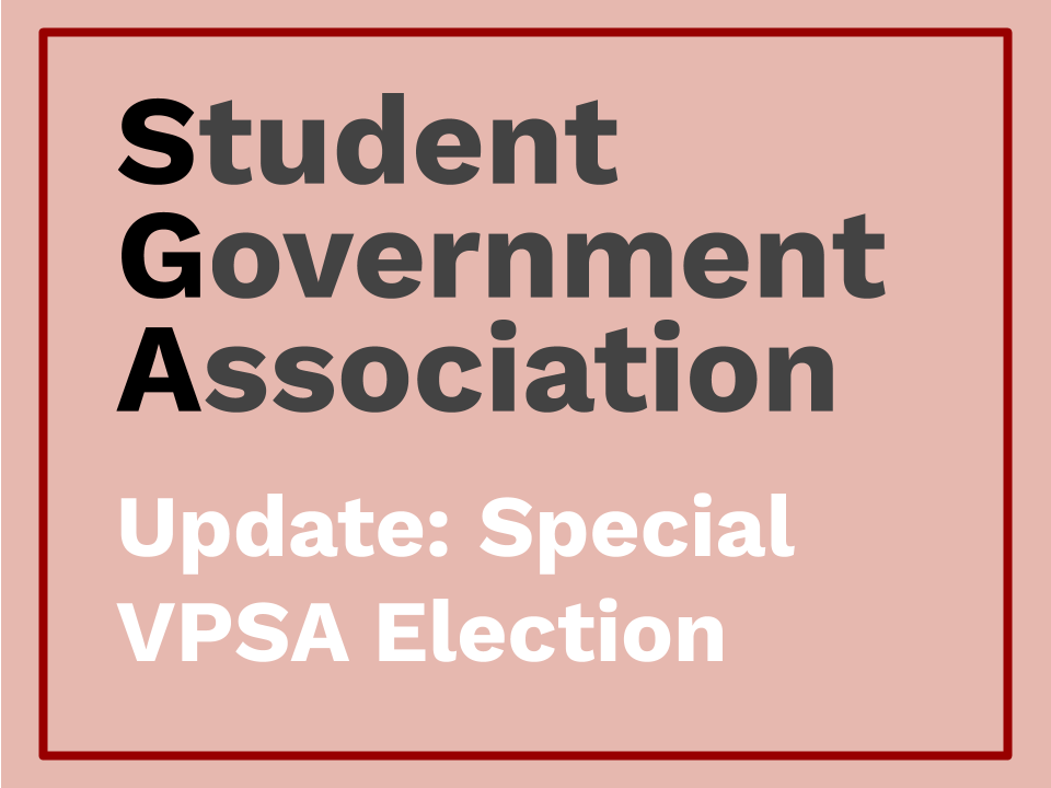 VPSA+candidates+emphasize+antiracism%2C+remote+learning+concerns+in+special+election+forum