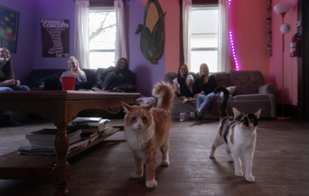 Residents of Polka Dot House pose with their beloved cats. Photo by Paul Hansen. 