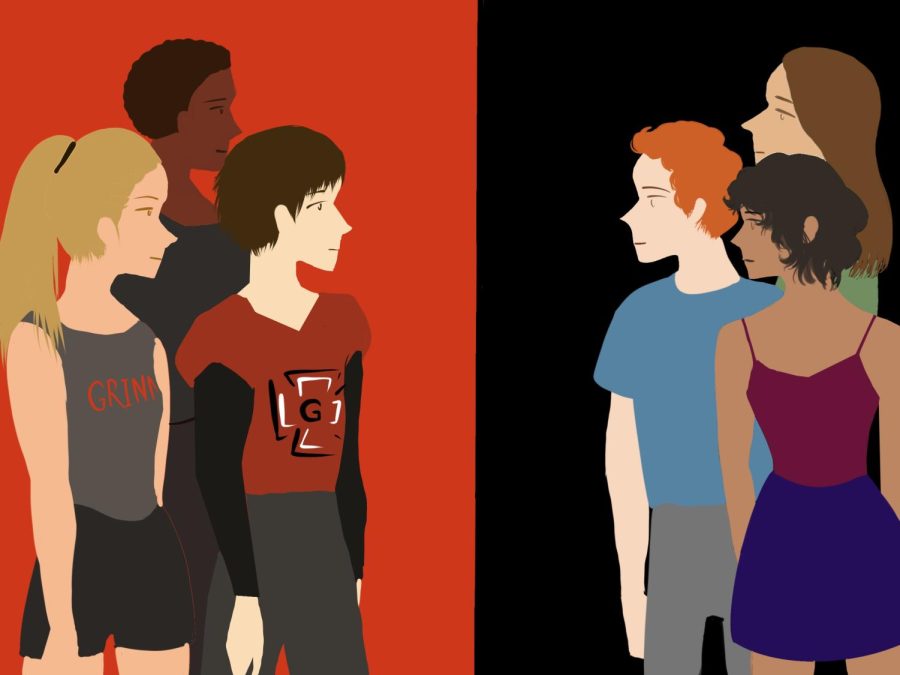 An Investigation into the Social Divide on Campus