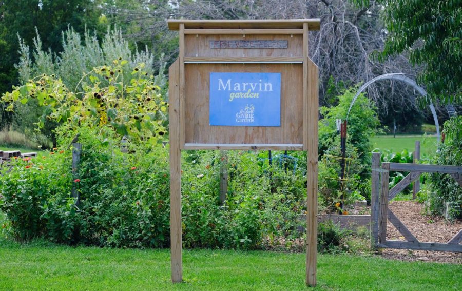 Marvin+Garden%2C+located+at+Marvin+Avenue%2C+is+just+one+of+nine+Giving+Gardens+located+throughout+Grinnell.+All+are+open+to+visitors.++