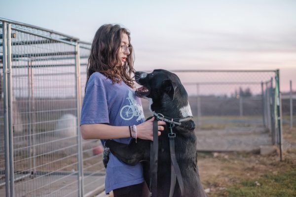 A volunteer shares an embrace with one of the dogs at the shelter.