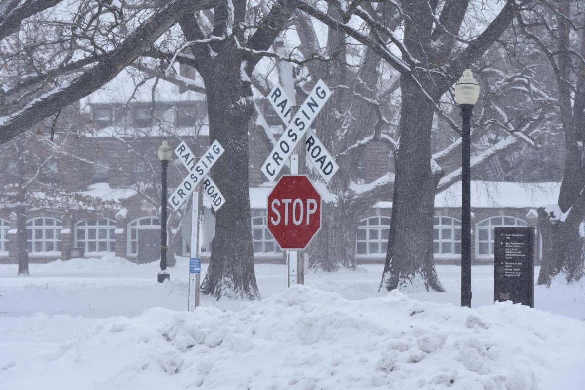Grinnell College was enveloped in a thick layer of snow as consecutive snowstorms brought more than twelve inches of snow.