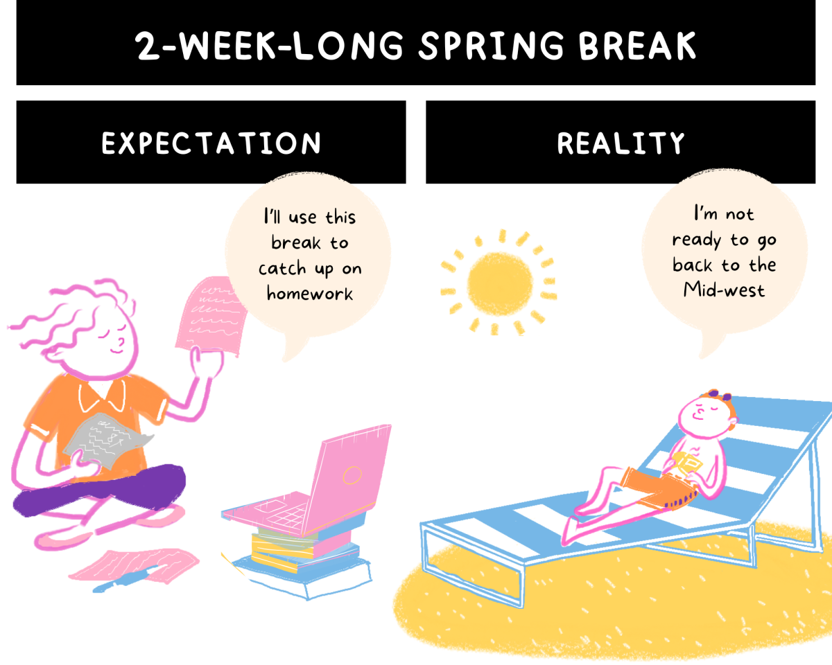 Comic: Spring Break Expectation vs. Reality