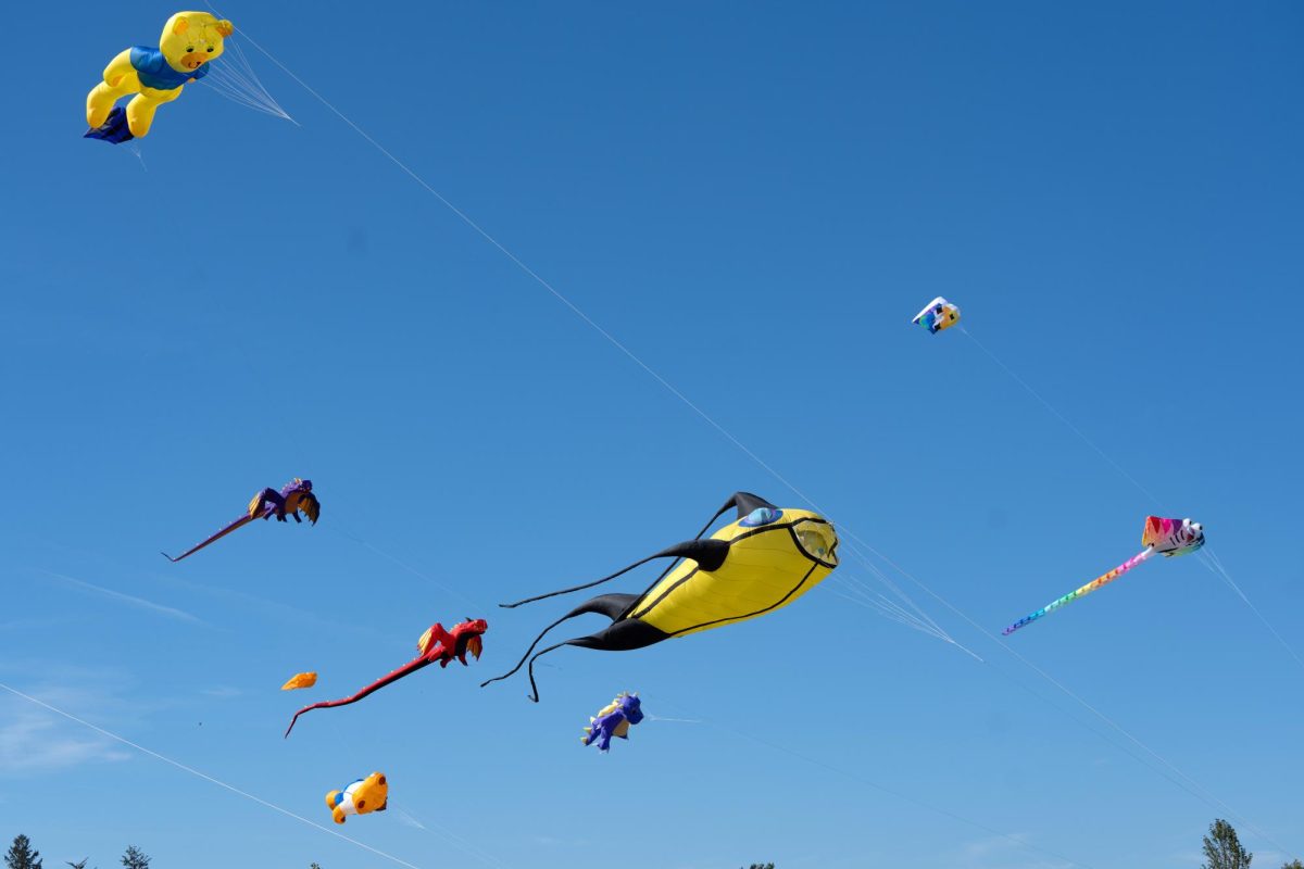 Large kites featured at Kites Over Grinnell at Ahrens Park on Saturday, Sept. 28, 2024.