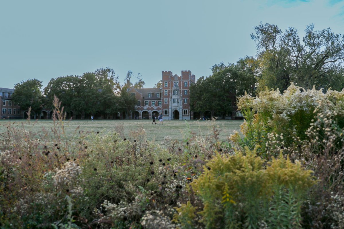 The Grinnell prairie on October 17, 2024.