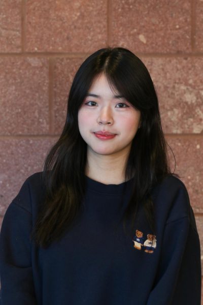 Vy Nguyen