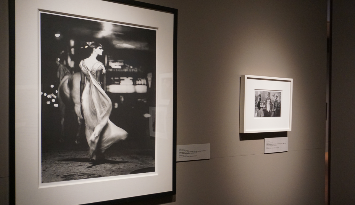 The newly opened exhibit Rhizomatic Intimacies included the photos Times Square: The Night Fantastic from The Brooklyn Academy of Music (BAM) Photography Portfolio 2, 2001 taken by Lillian Bassman and Three Transvestites in Evening Dress at a Lounge N.Y.C, 1961, taken by Diane Arbus.
