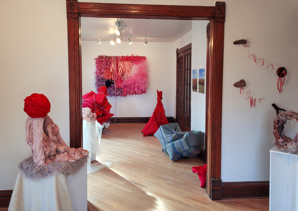 Mirzam Cristina Pérez’s art exhibition “Muddling Through” at Public Space One Northside.