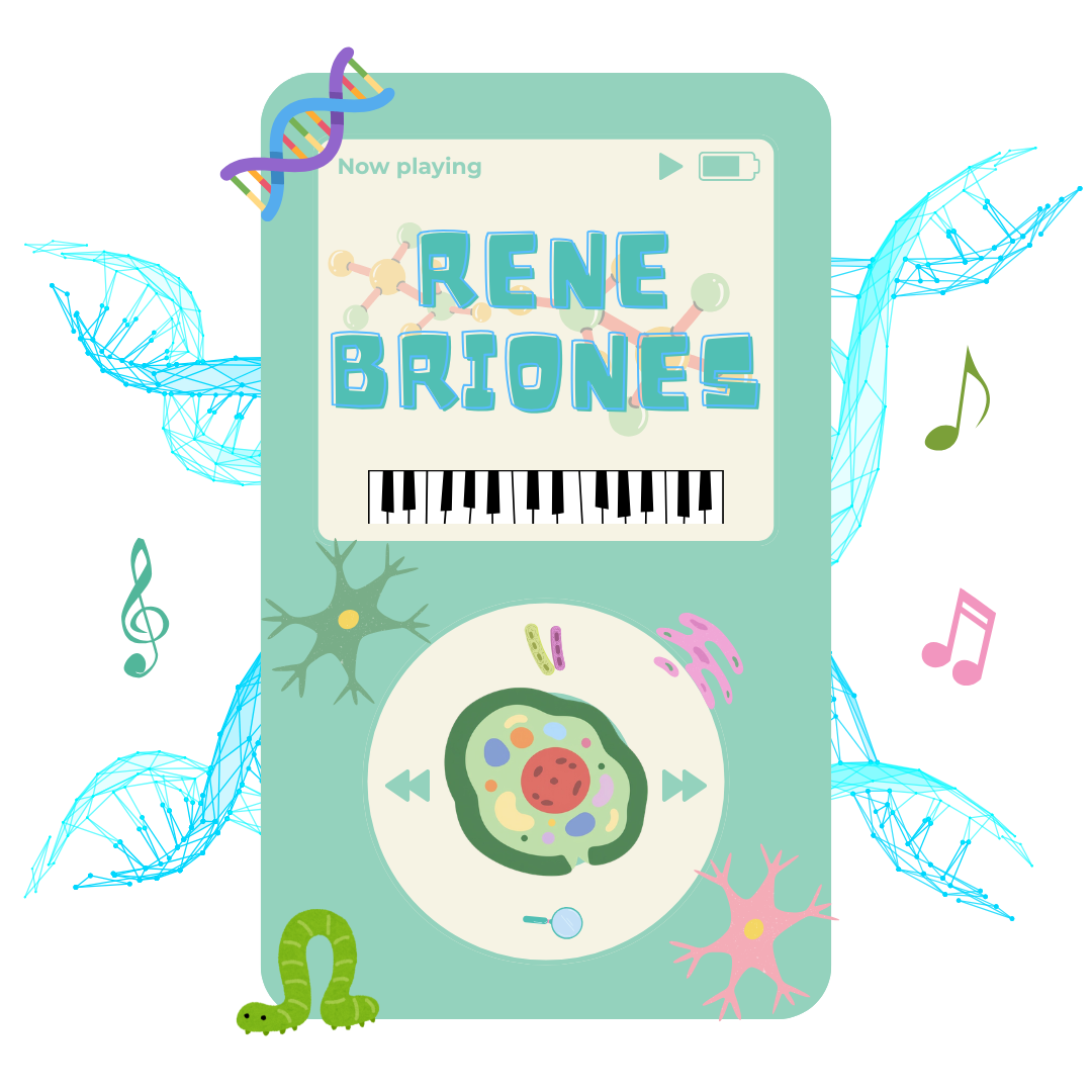 Rene Briones